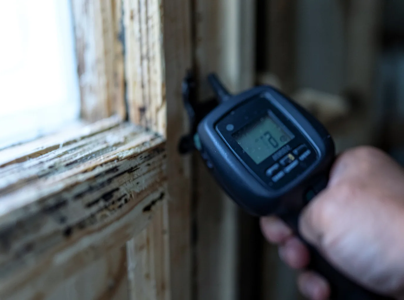Moisture Inspection And Documentation in Mcewen, TN